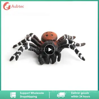 1~10VNT Modeliavimas Vabzdžių, Gyvūnų Modelio Voras Žaislas Sudėtinga Klaidingą Baisu Žaislai Suaugusių Vaikų Namų Dekoro Mini Lėlės Statulėlės Dovana