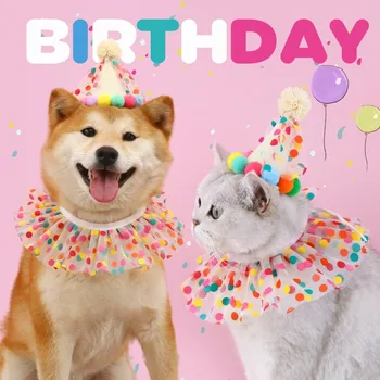 Pet polka dot nėrinių šalikas gimtadienio skrybėlę nustatyti, katė, šuo, saldainiai spalvos kamuolys su antkrūtiniais apykaklės INS galvos apdangalai